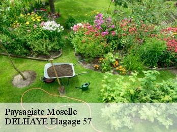 Paysagiste Moselle 