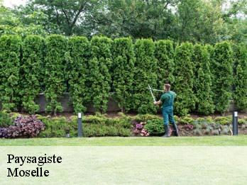 Paysagiste Moselle
