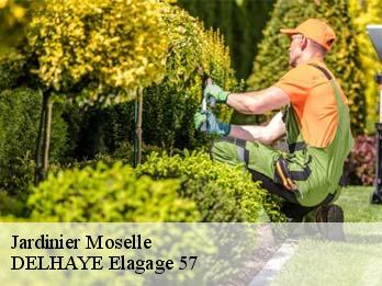 Jardinier Moselle 