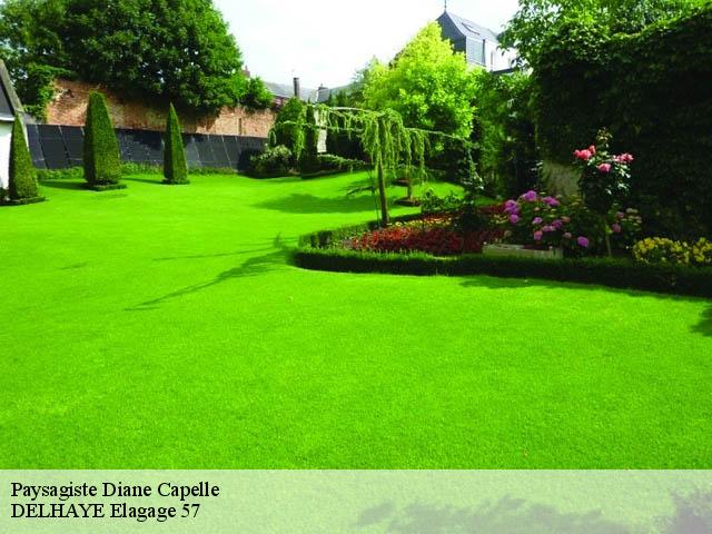 Paysagiste  diane-capelle-57830 DELHAYE Elagage 57