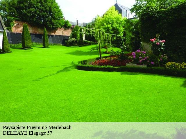 Paysagiste  freyming-merlebach-57800 DELHAYE Elagage 57