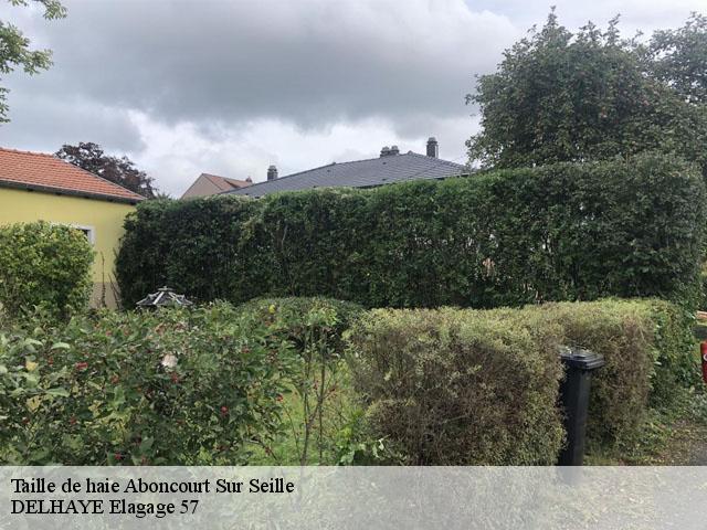 Taille de haie  aboncourt-sur-seille-57590 DELHAYE Elagage 57