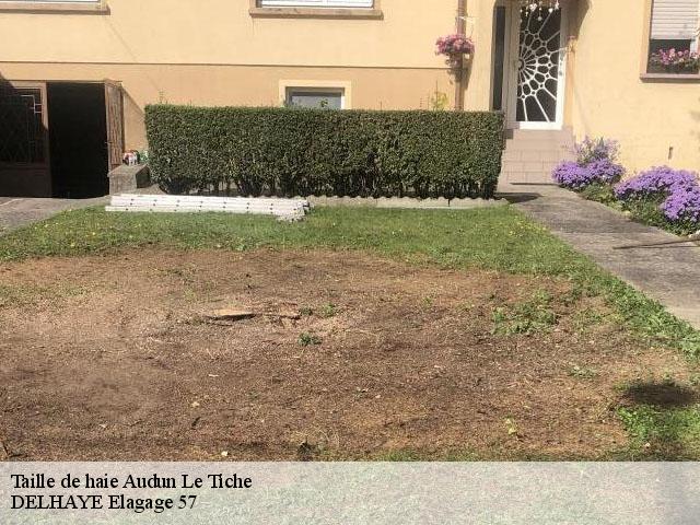 Taille de haie 57390