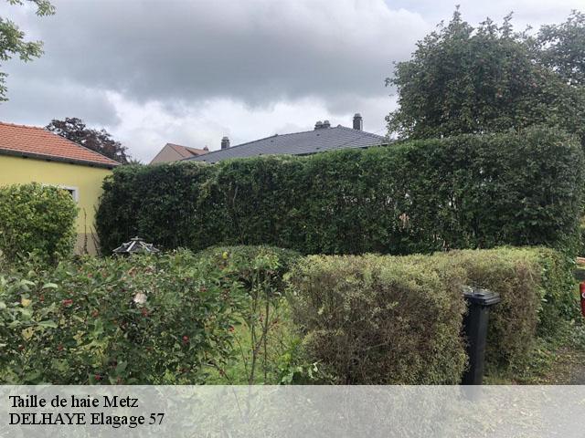 Taille de haie metz-57000 DELHAYE Elagage 57