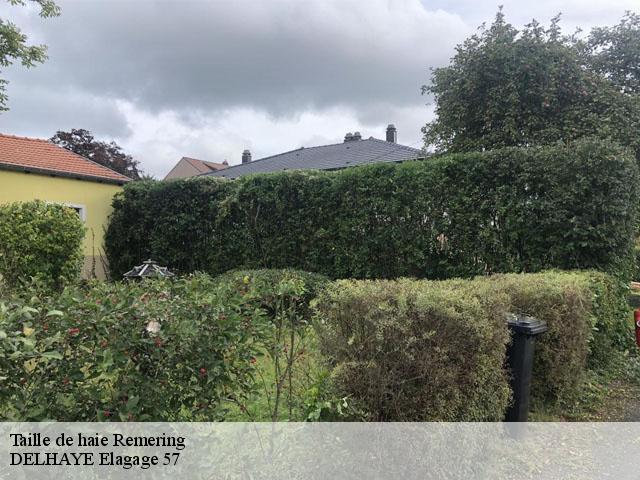 Taille de haie remering-57550 DELHAYE Elagage 57