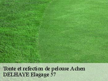 Tonte et refection de pelouse  57410