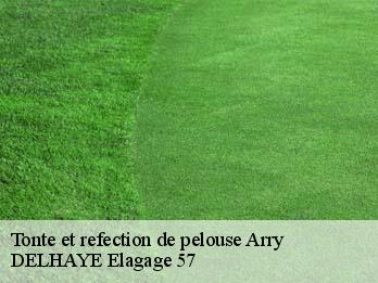 Tonte et refection de pelouse 57680