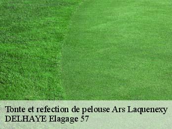 Tonte et refection de pelouse 57530