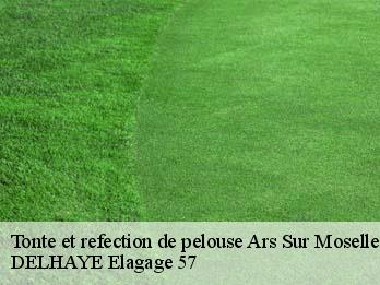 Tonte et refection de pelouse  57130