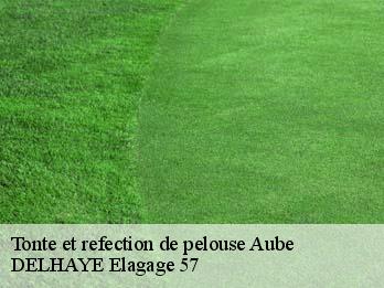 Tonte et refection de pelouse  57580