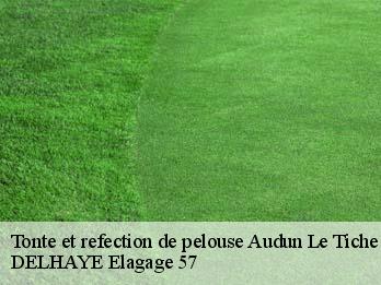 Tonte et refection de pelouse  57390