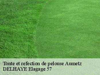 Tonte et refection de pelouse  57710