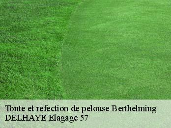 Tonte et refection de pelouse 57930