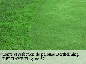 Tonte et refection de pelouse  57930