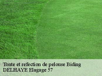 Tonte et refection de pelouse  57660