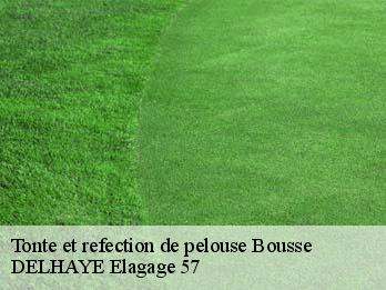 Tonte et refection de pelouse  57310