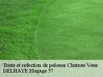 Tonte et refection de pelouse  57170