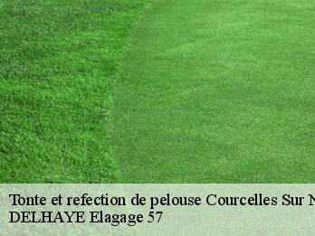 Tonte et refection de pelouse 57530