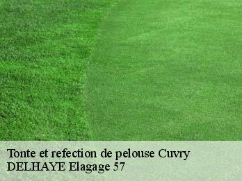 Tonte et refection de pelouse  57420