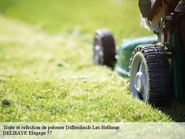 Tonte et refection de pelouse  diffembach-les-hellimer-57660 DELHAYE Elagage 57
