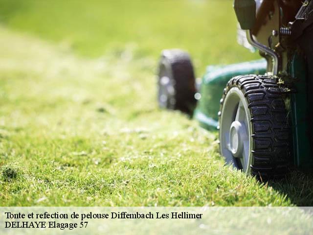 Tonte et refection de pelouse diffembach-les-hellimer-57660 DELHAYE Elagage 57