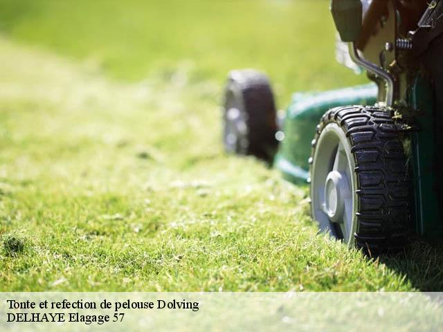 Tonte et refection de pelouse  dolving-57400 DELHAYE Elagage 57