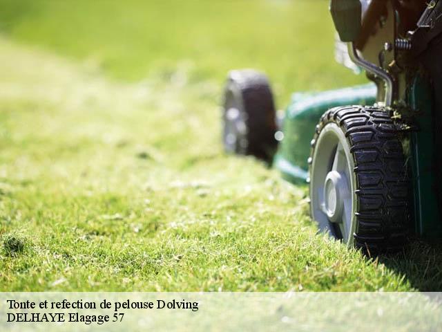 Tonte et refection de pelouse dolving-57400 DELHAYE Elagage 57