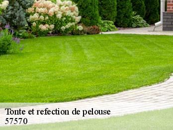 Tonte et refection de pelouse 57570