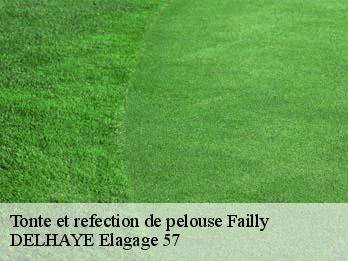 Tonte et refection de pelouse  57640