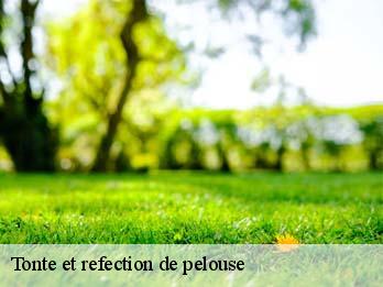 Tonte et refection de pelouse  57320