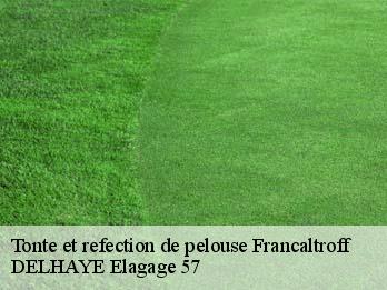 Tonte et refection de pelouse 57670