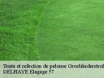 Tonte et refection de pelouse  57520