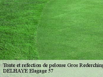 Tonte et refection de pelouse 57410