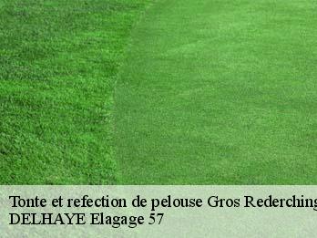 Tonte et refection de pelouse  57410