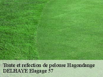 Tonte et refection de pelouse 57300
