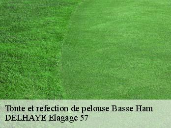 Tonte et refection de pelouse 57110