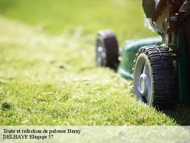 Tonte et refection de pelouse  herny-57580 DELHAYE Elagage 57