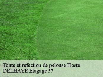 Tonte et refection de pelouse  57510