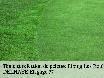 Tonte et refection de pelouse  57520