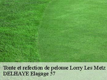 Tonte et refection de pelouse  57050