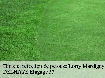 Tonte et refection de pelouse  57420