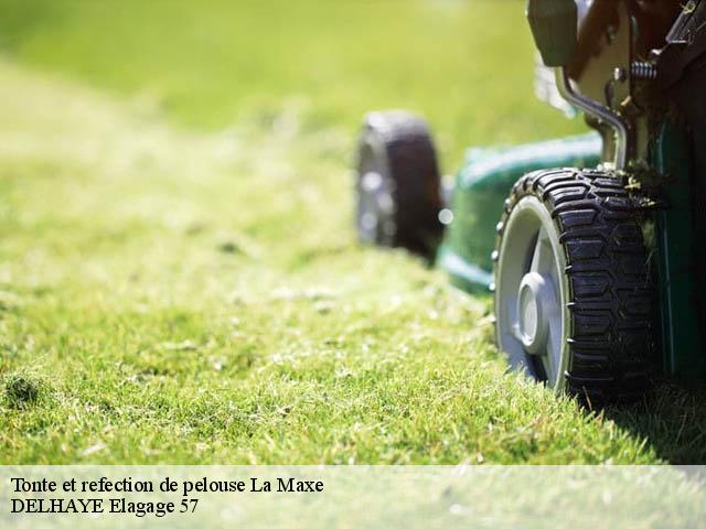 Tonte et refection de pelouse la-maxe-57140 DELHAYE Elagage 57
