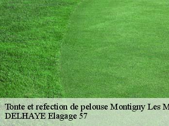 Tonte et refection de pelouse 57158