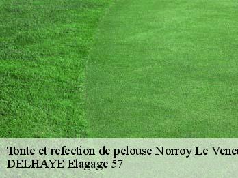 Tonte et refection de pelouse 57140