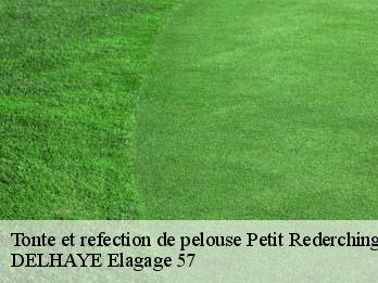 Tonte et refection de pelouse 57410