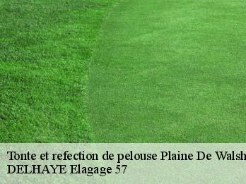 Tonte et refection de pelouse  57870