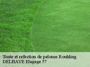 Tonte et refection de pelouse  57520