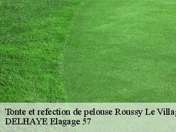 Tonte et refection de pelouse 57330