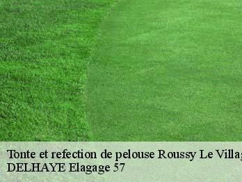 Tonte et refection de pelouse  57330