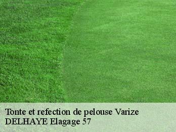 Tonte et refection de pelouse 57220
